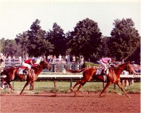 AFFIRMED and ALYDAR'S 1978 TRAVERS STAKES (Entire Televised Broadcast of 8/19/78)