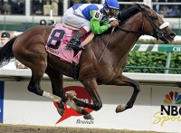 BARBARO: THE TRIUMPH and THE TRAGEDY 7-RACE TIME CAPSULE