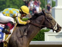 2001 TRIPLE CROWN RACES (Entire Televised Broadcasts)