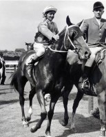 75 GREAT YEARS OF THE COX PLATE (1922-1996)