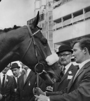 MILL REEF: SOMETHING TO BRIGHTEN THE MORNING