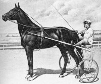 GREAT DAN PATCH (The Movie)