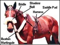 WHAT IS HARNESS RACING AND DRESSAGE OF HARNESS HORSES