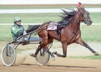 2000 TROTTERS ONLY YEAR-END REVIEW