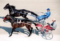 2000 CANADA'S BEST TROTTERS and PACERS YEAR-END REVIEW