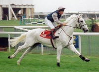 DESERT ORCHID: THE GLORY YEARS (a.k.a. 
