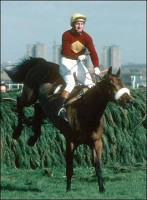 RED RUM: A NATIONAL TREASURE