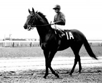 DR. FAGER 6-RACE TIME CAPSLUE
