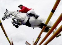 HORSE IN SPORT: SHOWJUMPING