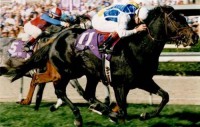 1993 BREEDERS' CUP (Entire Televised Broadcast from SANTA ANITA PARK)