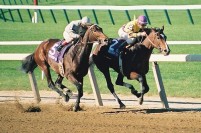 1990 BREEDERS' CUP (Entire Televised Broadcast from BELMONT PARK)