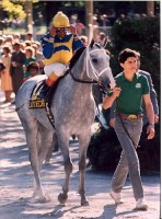 1986 BREEDERS' CUP (Entire Televised Broadcast from SANTA ANITA PARK  / Commercial MID-LENGTH Version)