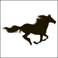 HORSE IN SPORT: RODEO
